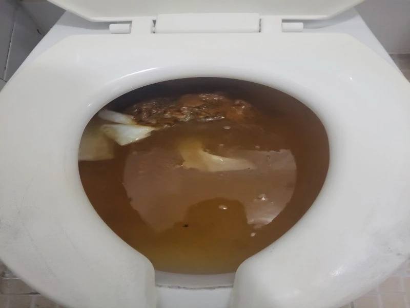김포한강 변기막힘 작업사례 24
