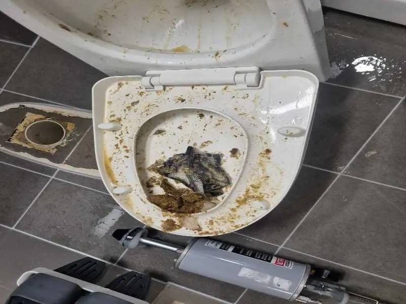 김포한강 변기막힘 작업사례 2